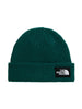the-north-face-cappello-salty-lined-beanie