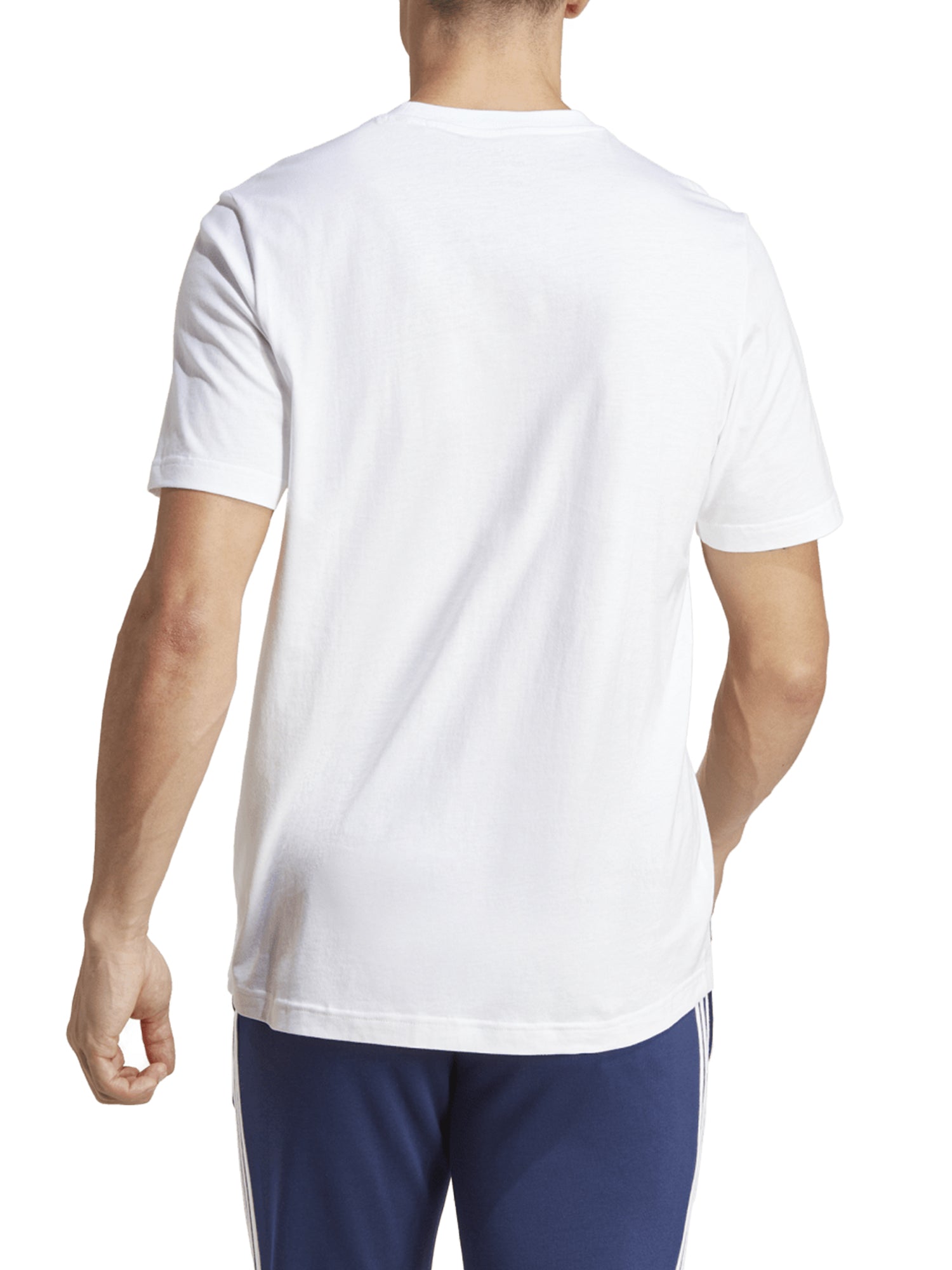 ADIDAS T-SHIRT MANICHE CORTE ITALIA GRAPHIC BIANCO