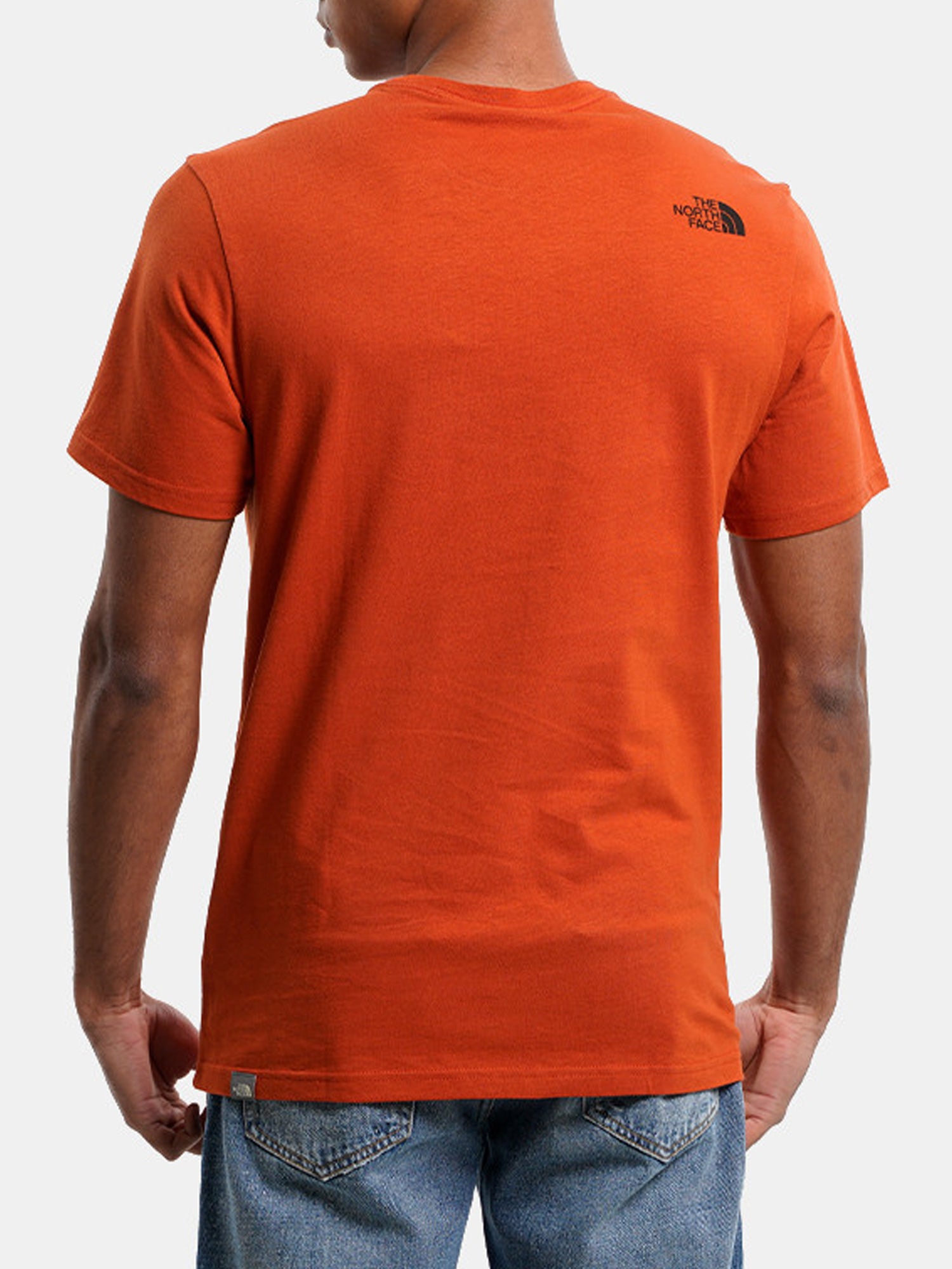 THE NORTH FACE T-SHIRT MOUNTAIN LINE ARANCIO - MARRONE