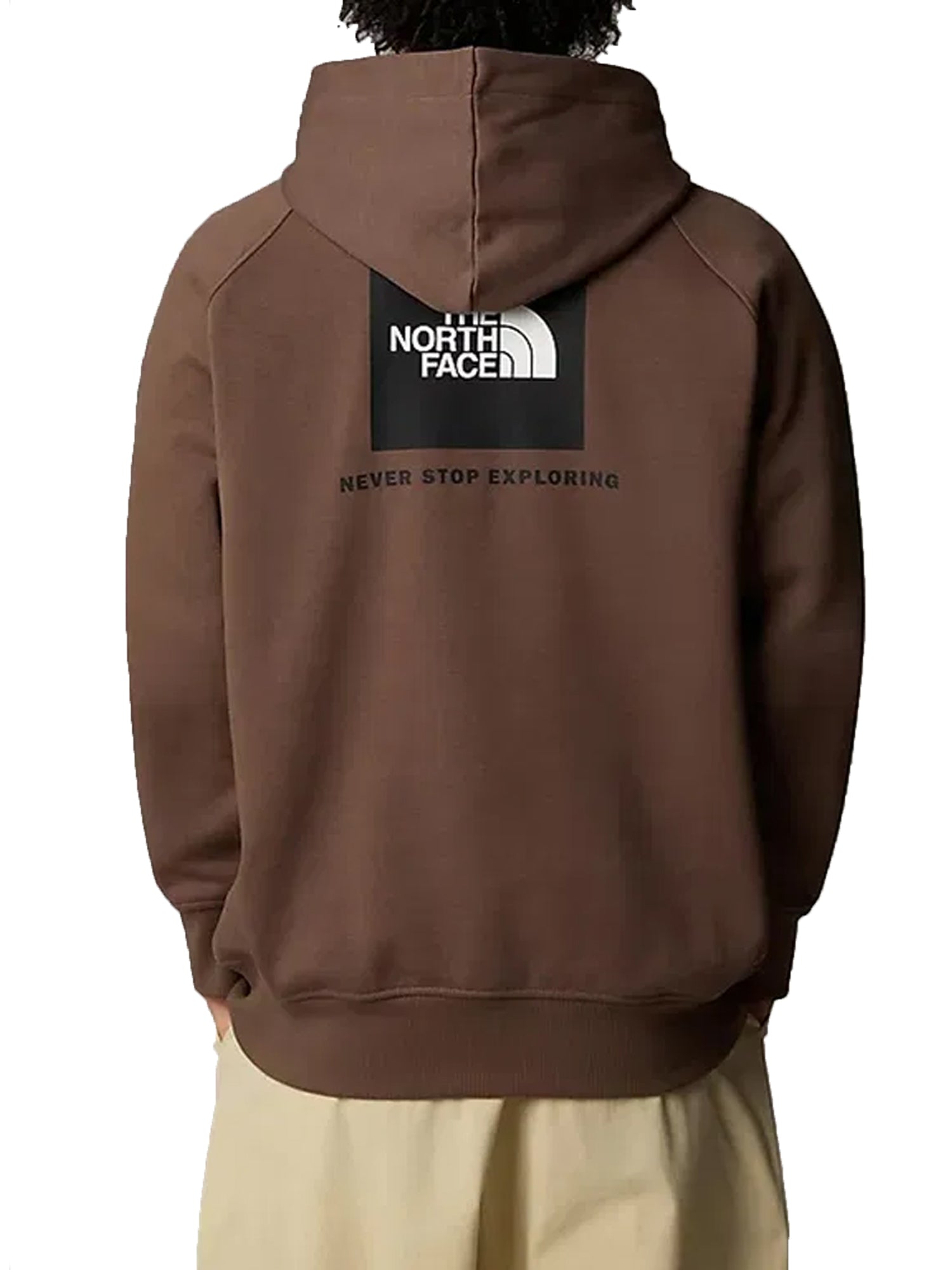 THE NORTH FACE FELPA CON CAPPUCCIO RAGLAN REDBOX MARRONE