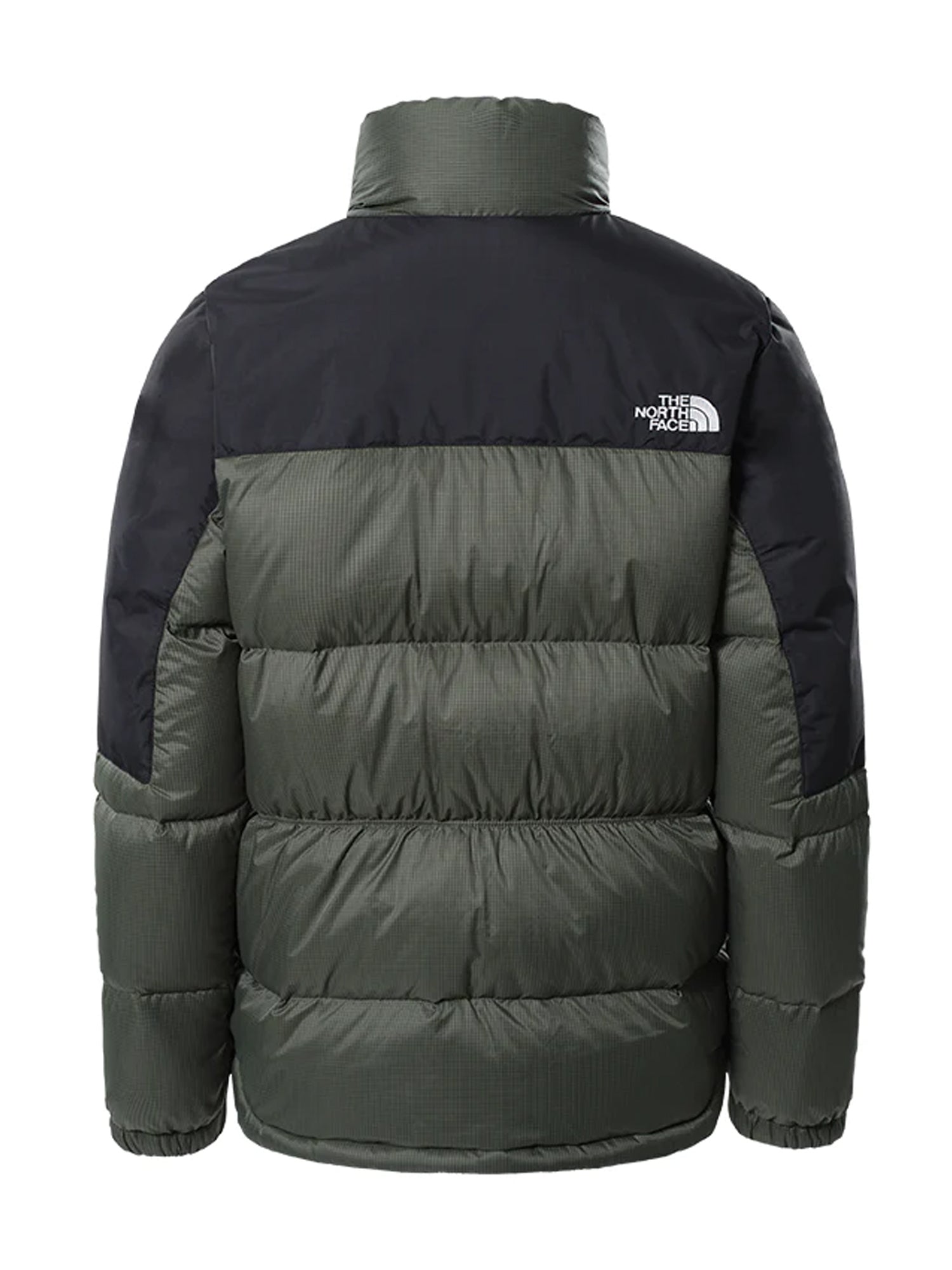 THE NORTH FACE GIACCA IN PIUMINO DIABLO VERDE