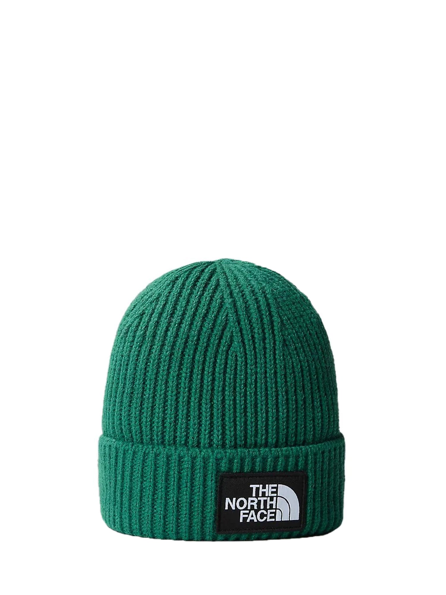 THE NORTH FACE CAPPELLO CON RISVOLTO E LOGO BOX VERDE