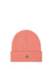 dickies-cappello-gibsland-rosa-1