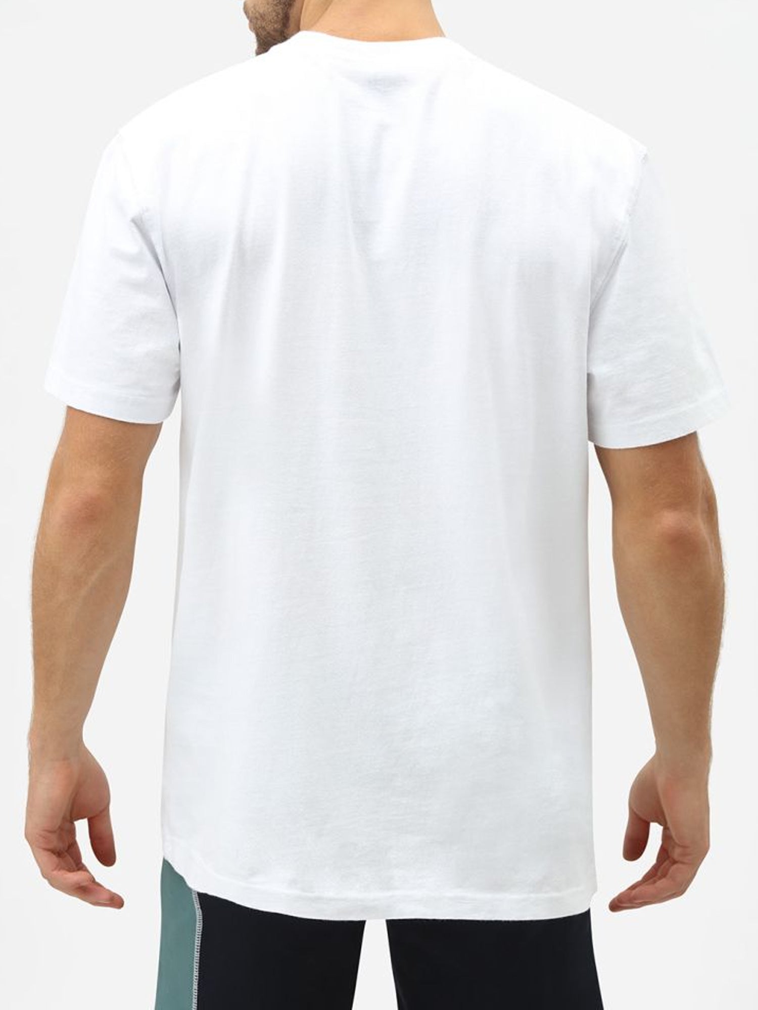 DICKIES T-SHIRT MANICA CORTA CON TASCA PORTERDALE BIANCO