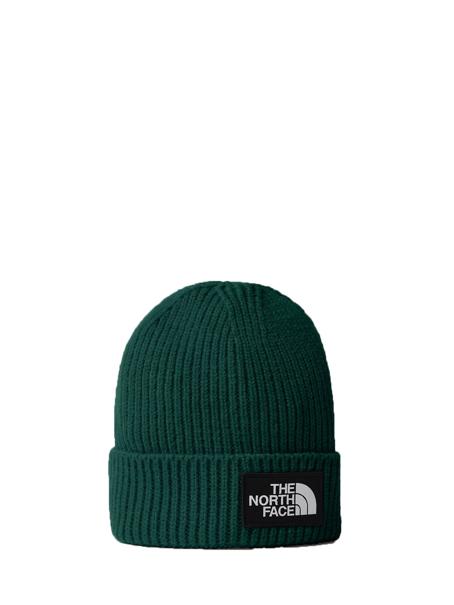 THE NORTH FACE CAPPELLO KIDS CON RISVOLTO E LOGO BOX VERDE