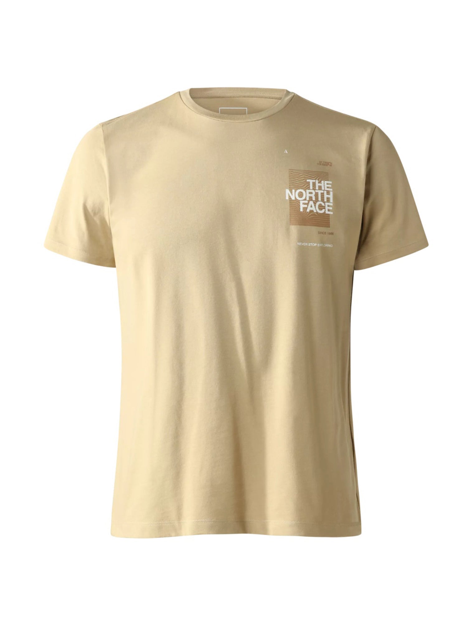 THE NORTH FACE T-SHIRT FOUNDATION GRAPHIC TEE KHAKI